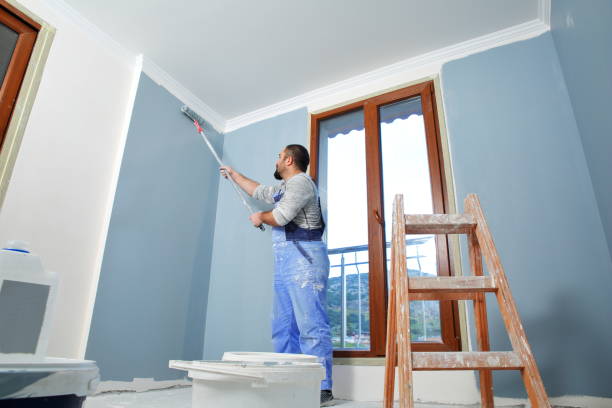 Best Mold Damage Restoration  in Harbor Springs, MI