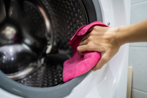 Best Mold Prevention Services  in Harbor Springs, MI