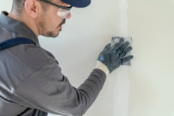 Best Mold Removal for HVAC Installations  in Harbor Springs, MI