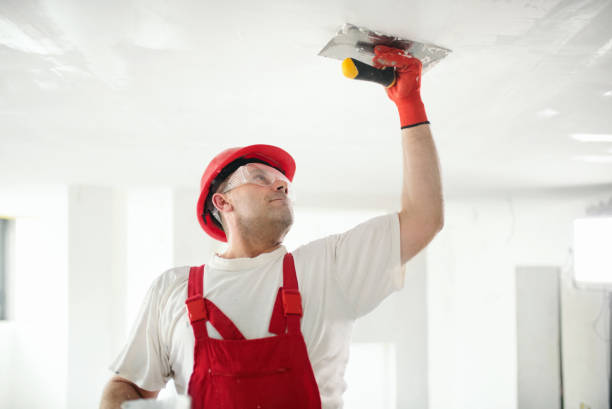 Best Emergency Mold Remediation  in Harbor Springs, MI